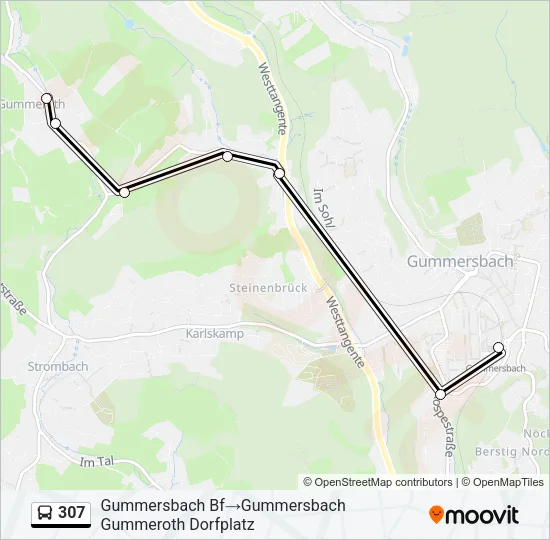 307 Bus Line Map