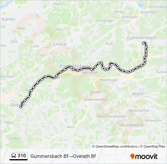310 Bus Line Map