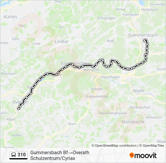 310 Bus Line Map