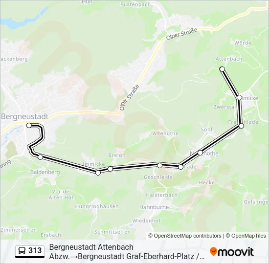 313 Bus Line Map