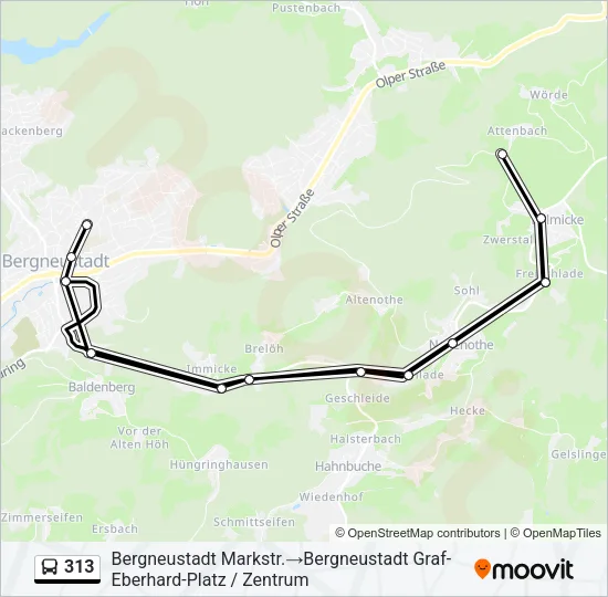 313 Bus Line Map