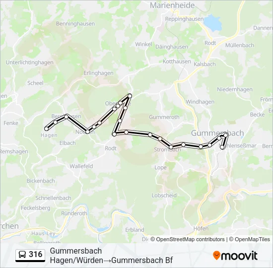 316 Bus Line Map