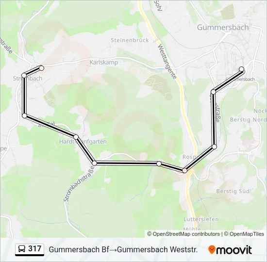 317 Bus Line Map