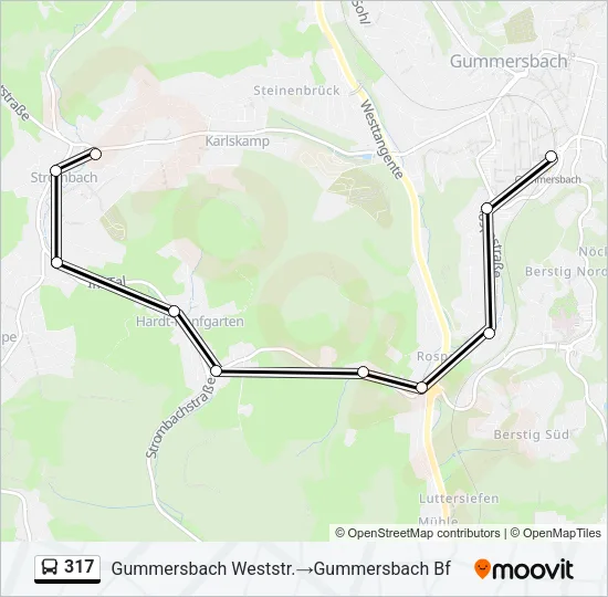 317 Bus Line Map