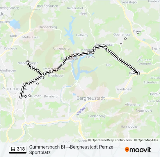 318 Bus Line Map