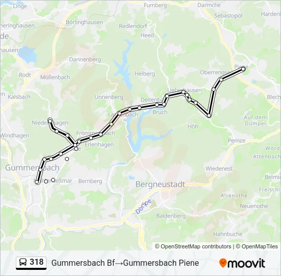 318 Bus Line Map