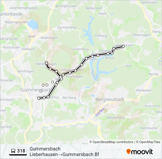 318 Bus Line Map