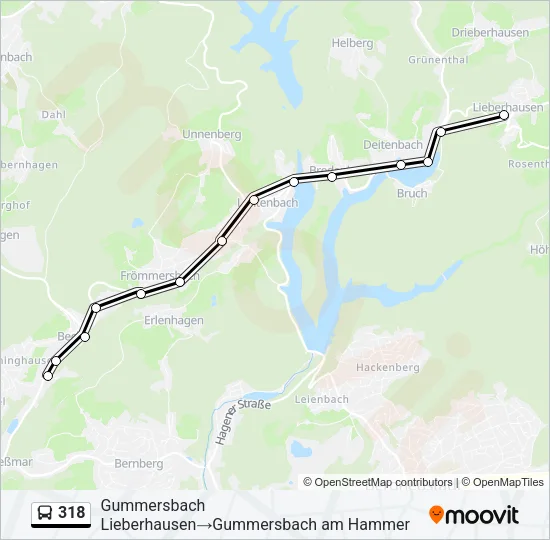 318 Bus Line Map