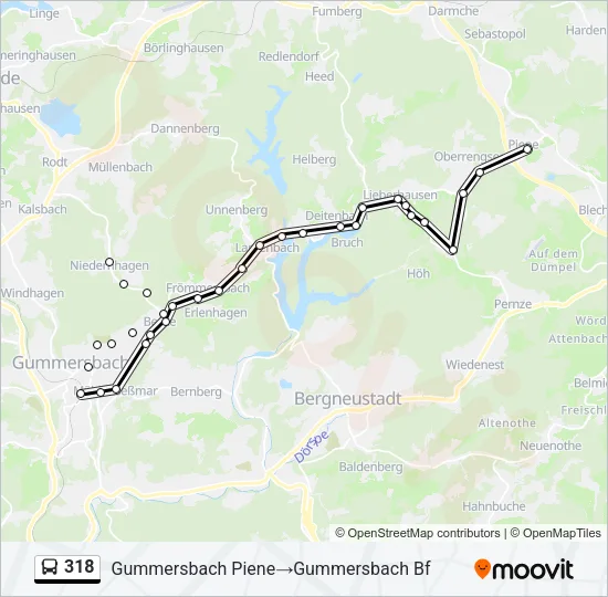318 Bus Line Map