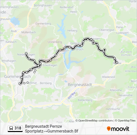 318 Bus Line Map