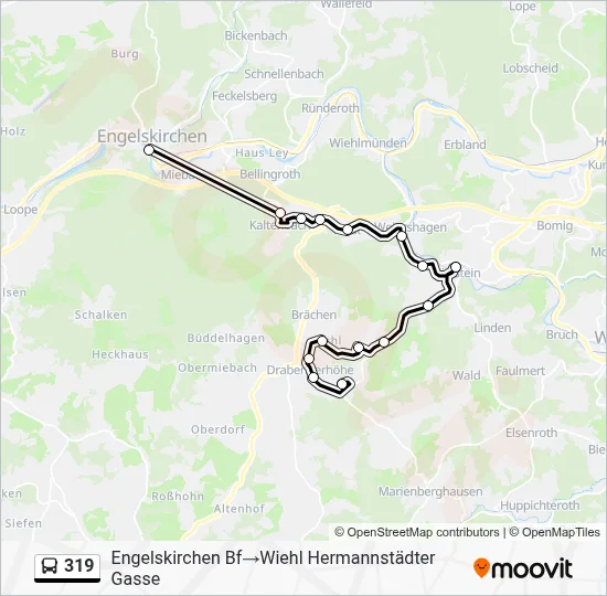 319 Bus Line Map