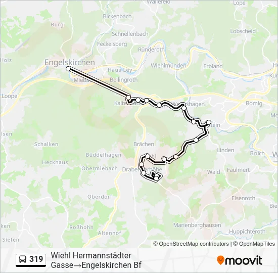 319 Bus Line Map