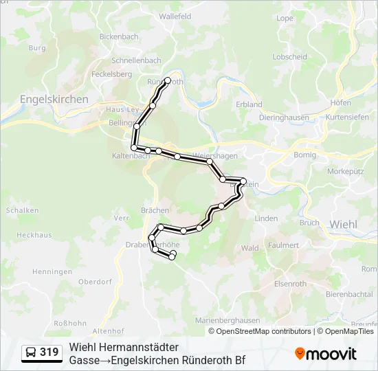 319 Bus Line Map