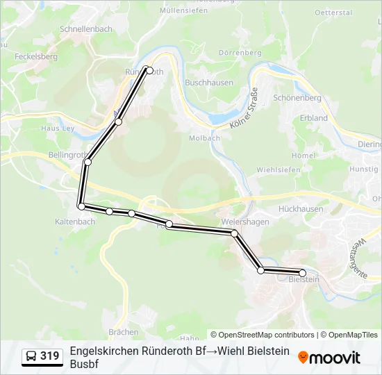 319 Bus Line Map
