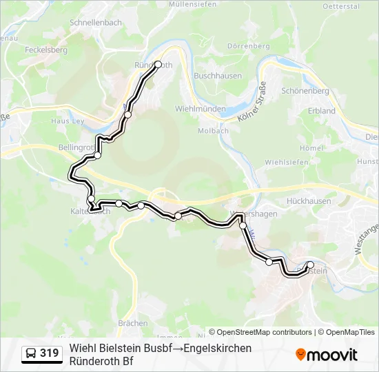 319 Bus Line Map