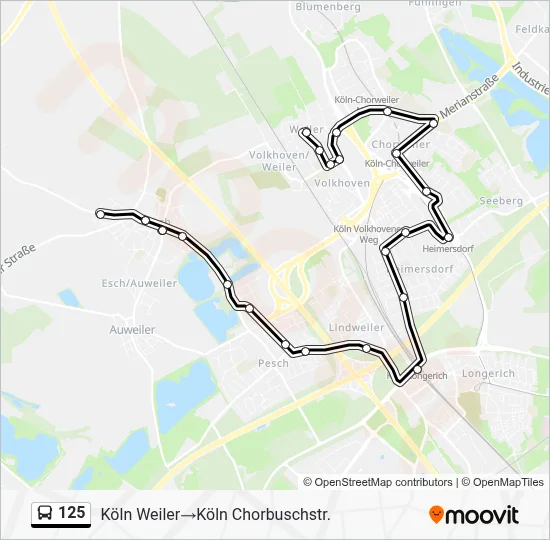 125 Bus Line Map
