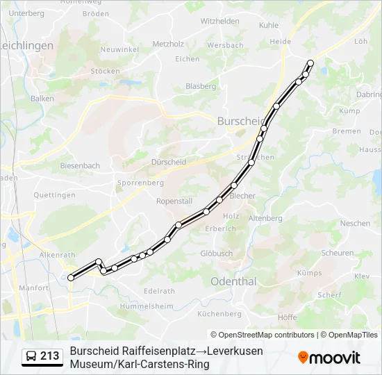 213 Bus Line Map
