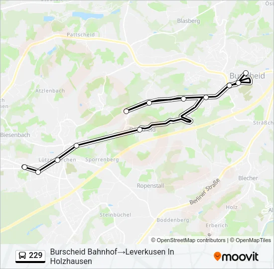 229 Bus Line Map