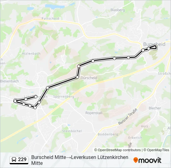 229 Bus Line Map