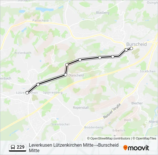 229 Bus Line Map
