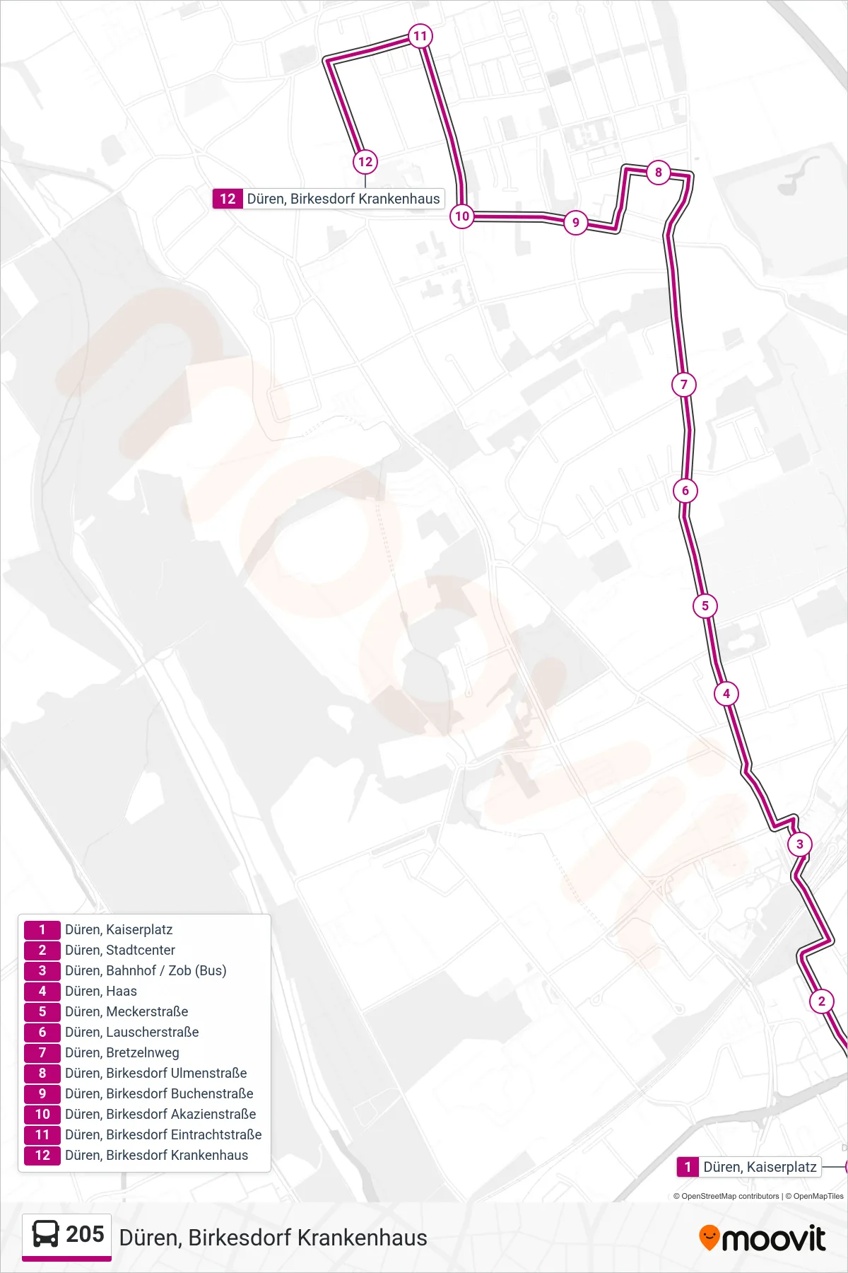 205 bus Line (Düren, Birkesdorf Krankenhaus) route and stops on a map