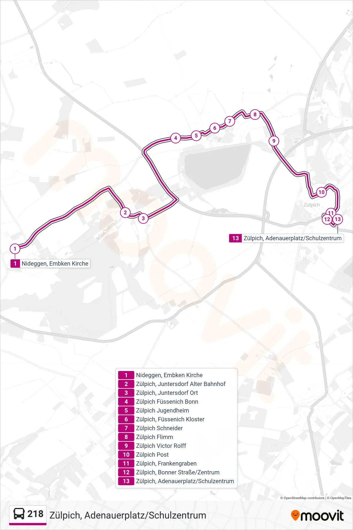 Linie 218 (Bus) Richtung Zülpich, Adenauerplatz/Schulzentrum: Route und Haltestellen auf der Karte