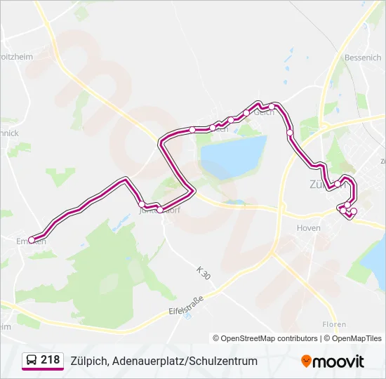 218 Bus Line Map