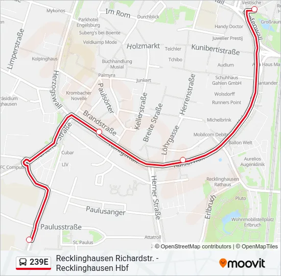 239E Bus Line Map