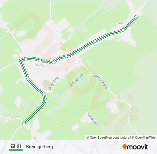 61 Bus Line Map