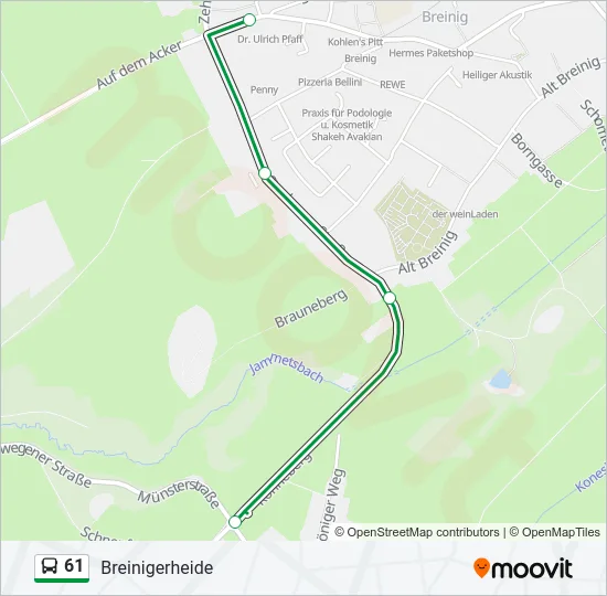 61 Bus Line Map