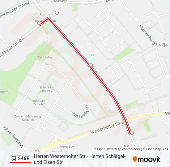 246E Bus Line Map