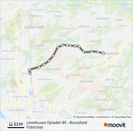 E239 Bus Line Map