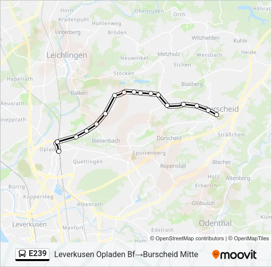 E239 Bus Line Map