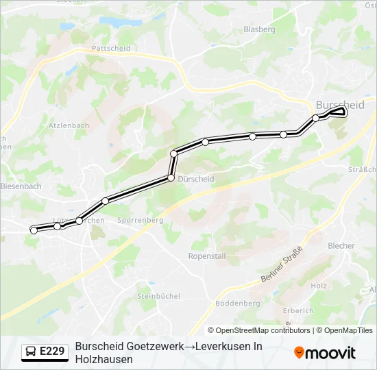 E229 Bus Line Map
