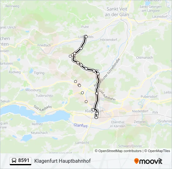 8591 Bus Line Map