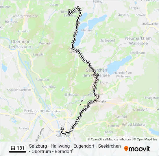 131 Bus Line Map