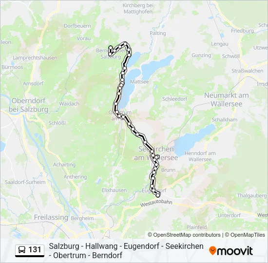131 Bus Line Map
