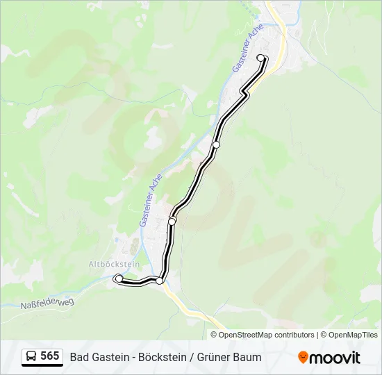 565 Bus Line Map