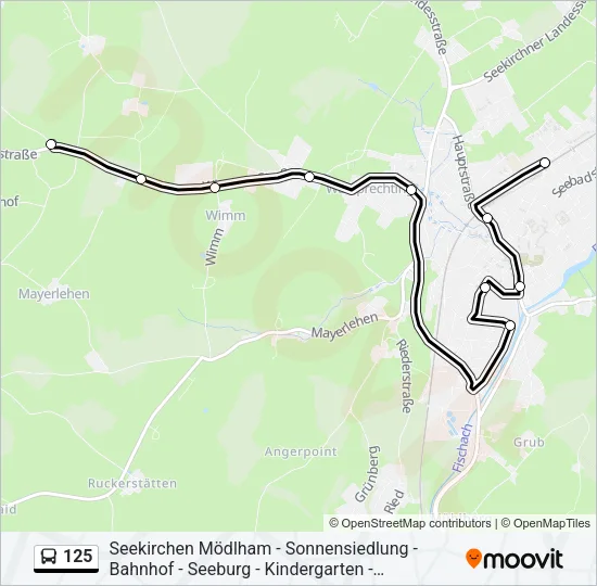 125 Bus Line Map