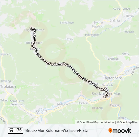 175 Bus Line Map
