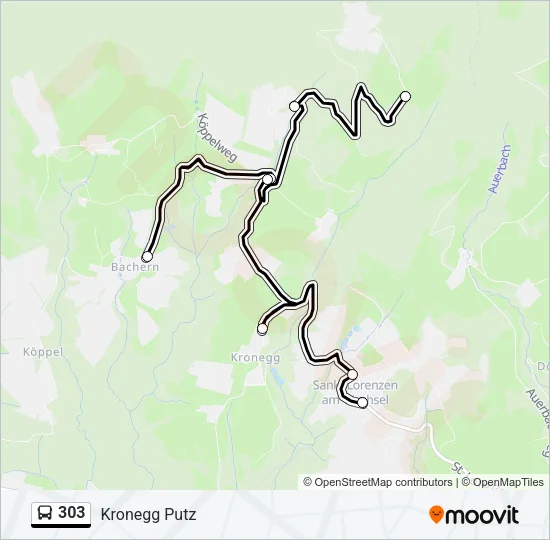 303 Bus Line Map