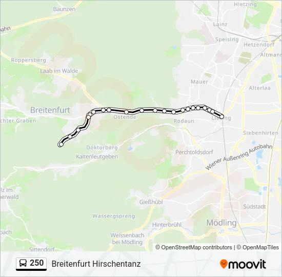 250 Bus Line Map