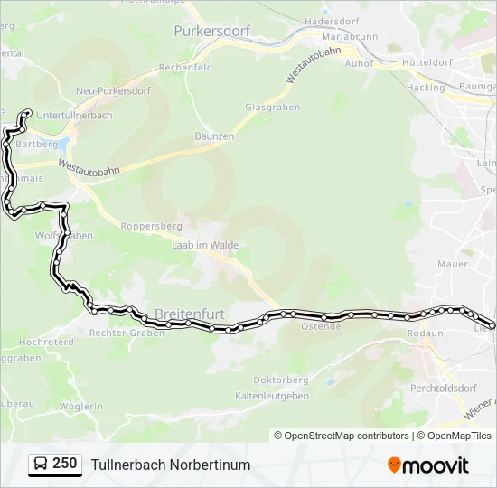 250 Bus Line Map