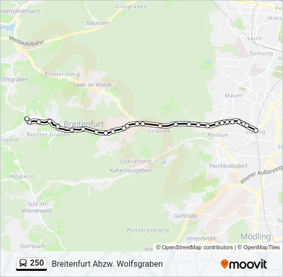 250 Bus Line Map