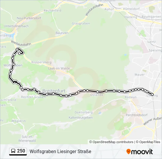 250 Bus Line Map