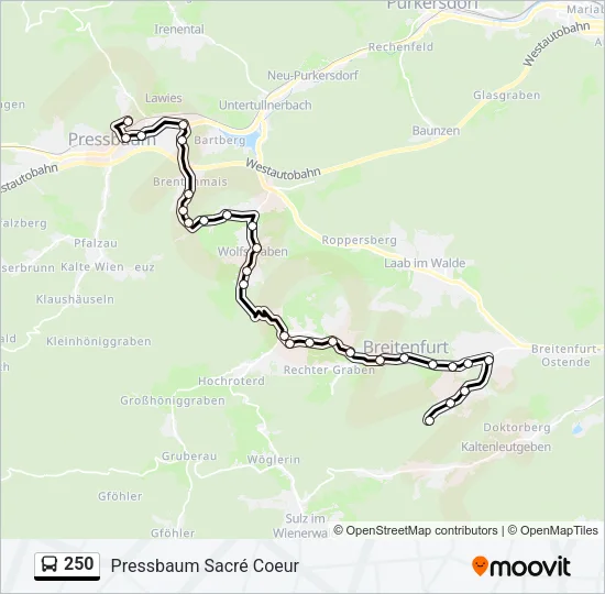 250 Bus Line Map
