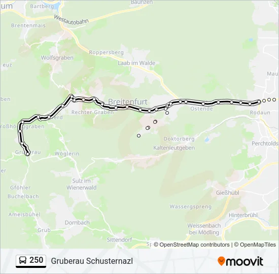 250 Bus Line Map