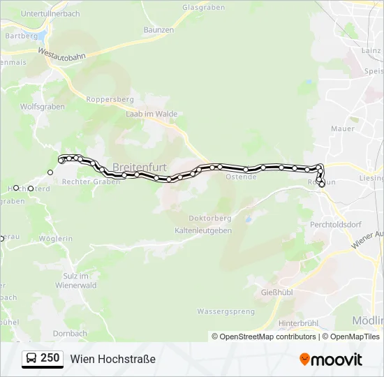 250 Bus Line Map