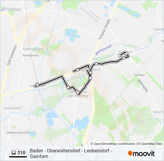 310 Route: Schedules, Stops & Maps - Teesdorf Volksschule (Updated)