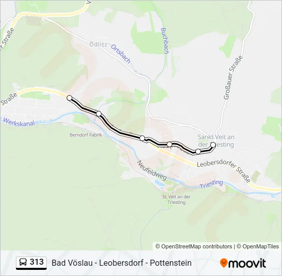 313 Bus Line Map